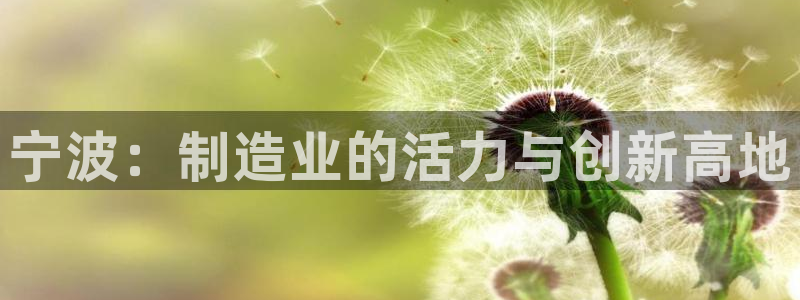 万发大平台乐透