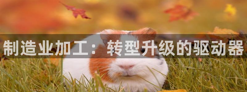 乐发彩票最新平台