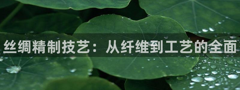 乐发app下载平台苹果