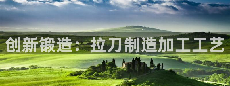 乐发是大平台吗是正品吗