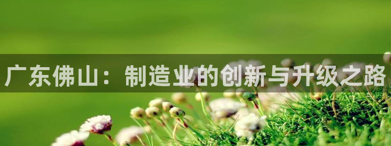 乐发app下载平台苹果